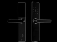 青松沃德-Wi-Fi 指紋鎖家用防盜門智能門鎖密碼鎖刷卡電子鎖 防磁干擾 防撬 L9-WT (不含鎖體，鎖體需另購）